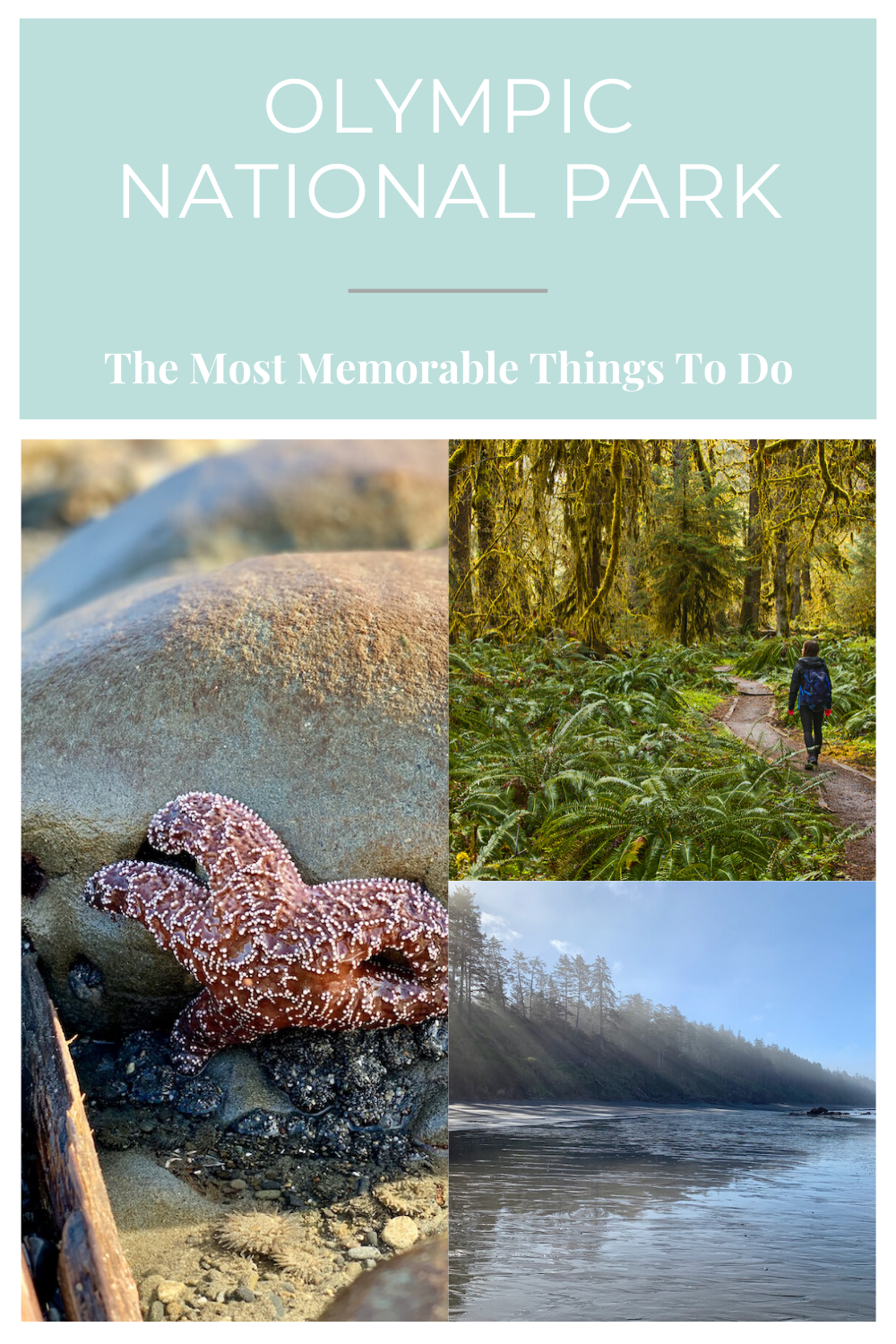 The Most Memorable Things To Do In Olympic National Park